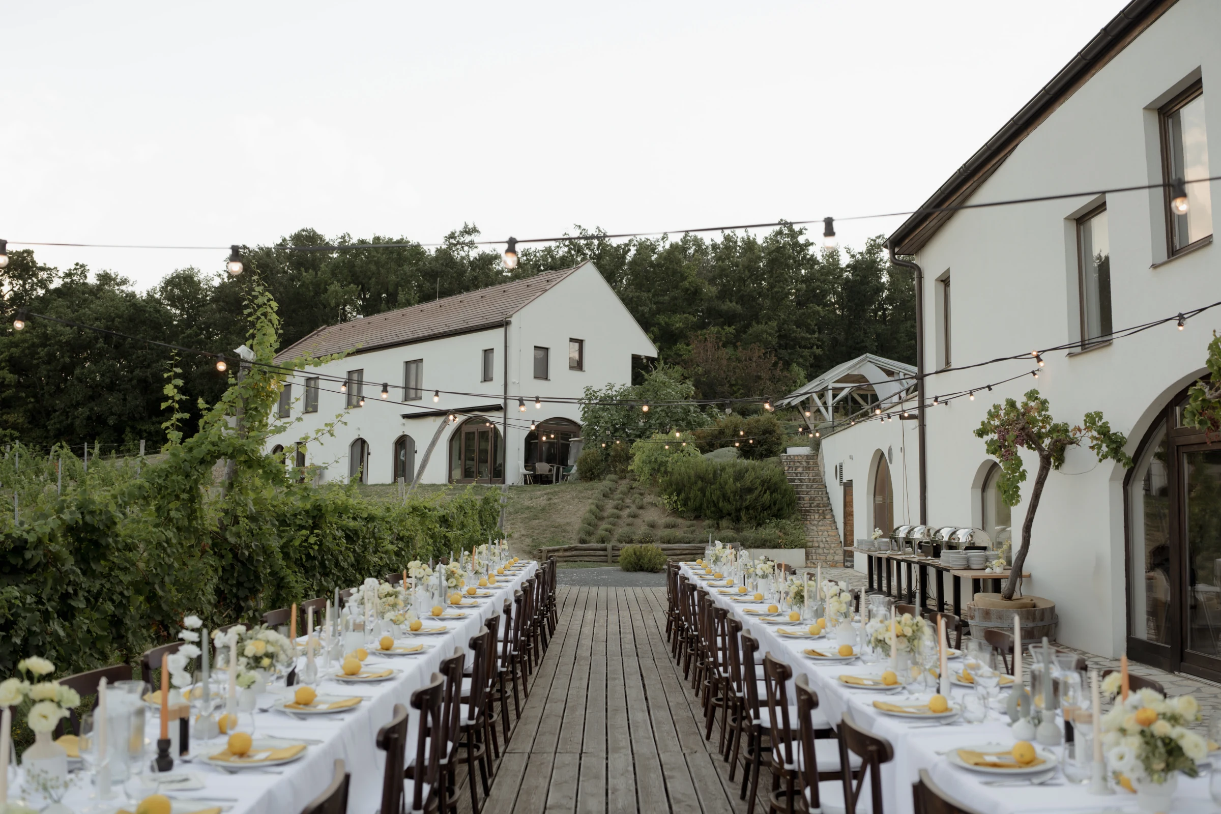A Nest Cottage épületei és terített asztalai a szőlősorok mellett